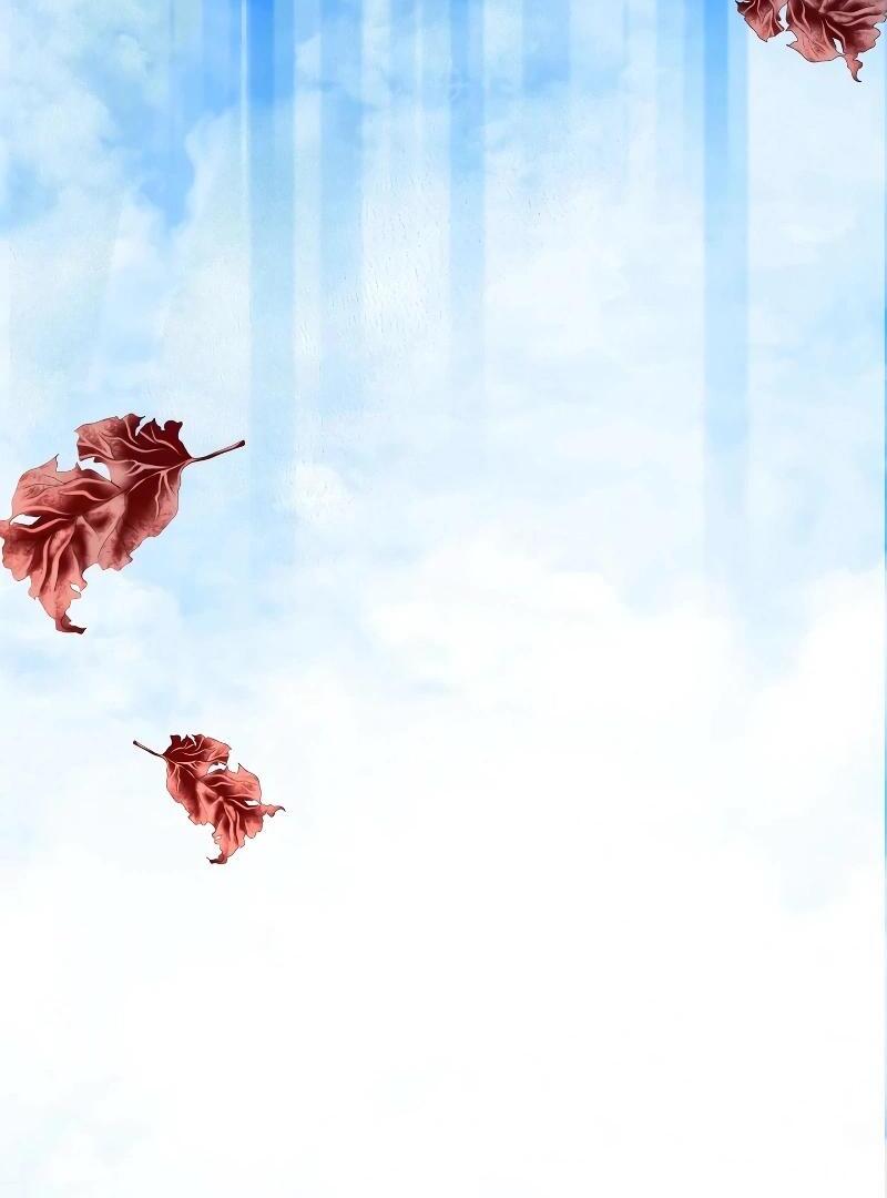 74288351 800 1080 38251